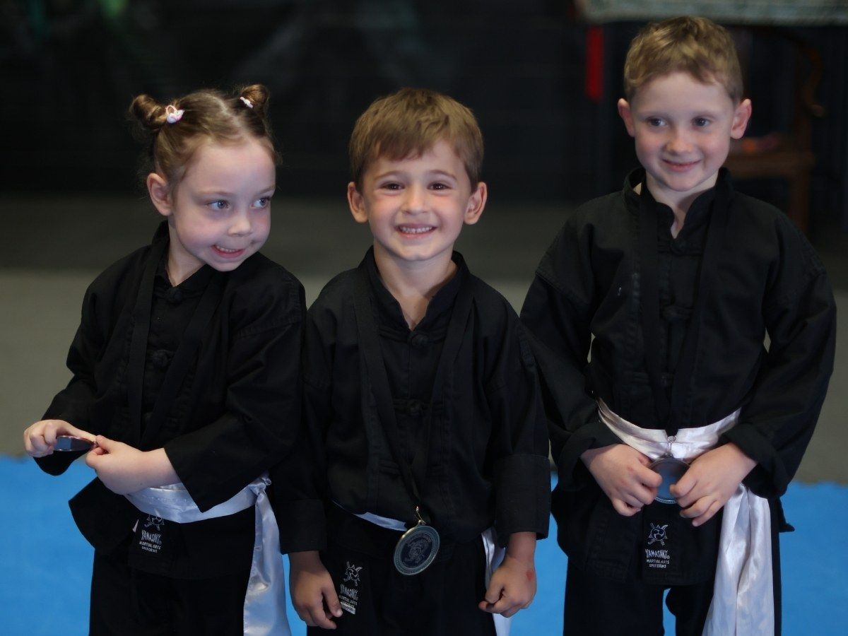 Little Dragons martial arts classes for children in Penrith